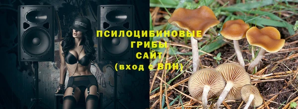 шишки Богданович