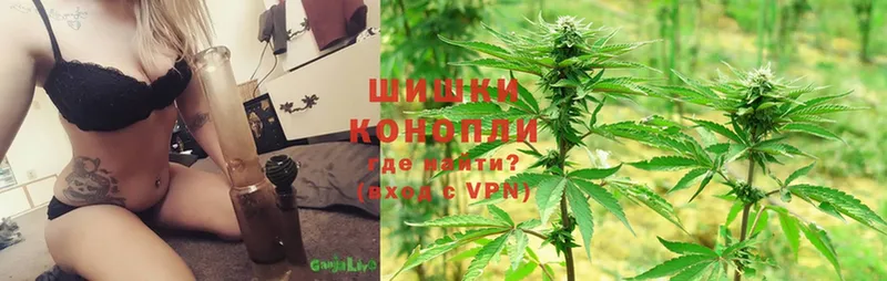 купить наркотики сайты  Кингисепп  Конопля SATIVA & INDICA 